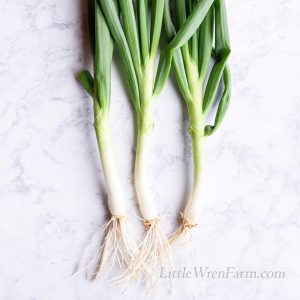 Spicy Spring Onions