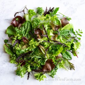 Farm Fresh Zesty Salad Mix